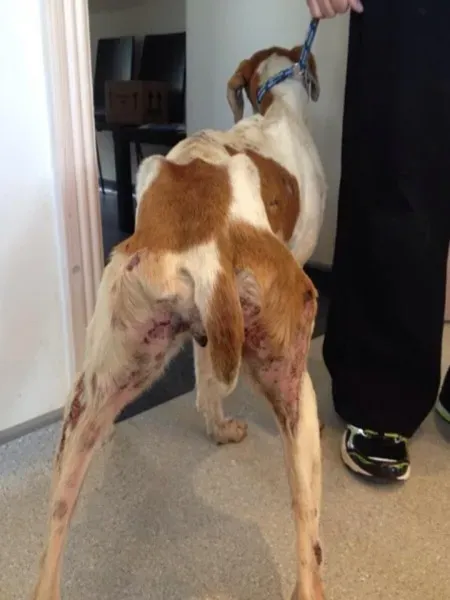 11951811 1072395392778159 8644914426010294696 n