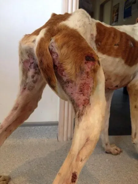 11951812 1072395462778152 6188362991350237905 n