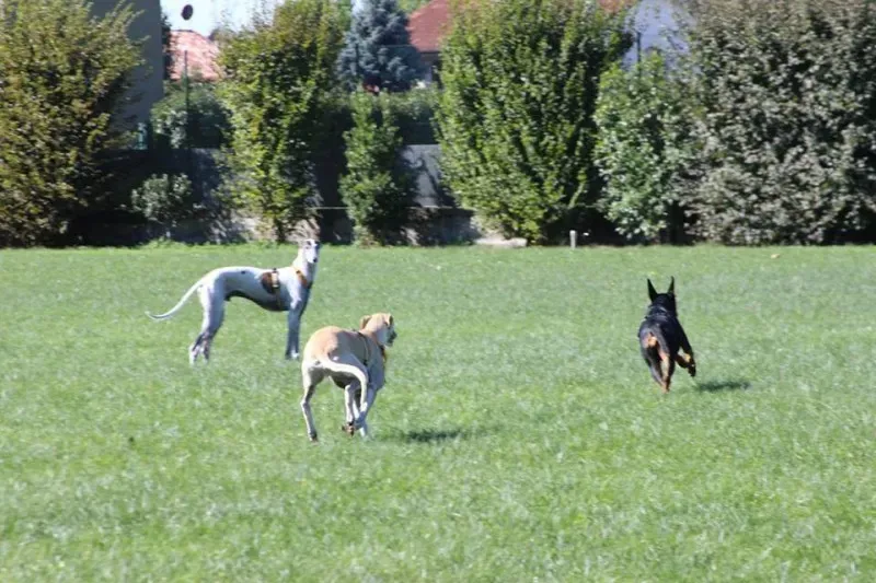 11951823 886801468070376 4201062546754276491 n