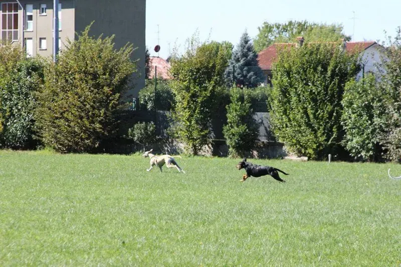 11951825 886801691403687 5729405940485662935 n