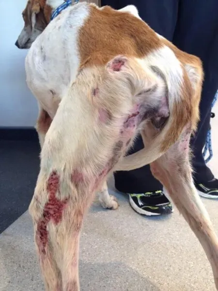 11953074 1072395416111490 5258970153678315836 n