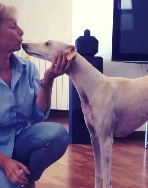 11953115 886770138073509 2954029645561551658 n