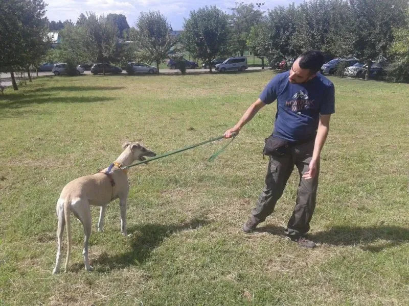 11953204 10206033340826274 5881659349911922738 n