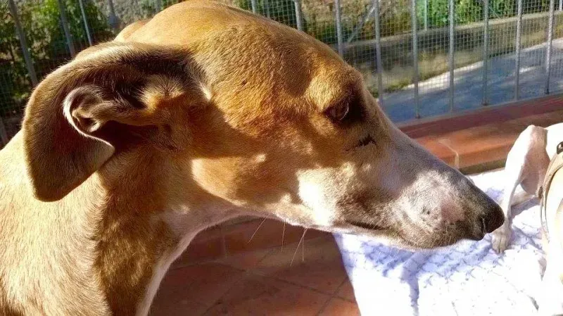 11954598 886741271409729 3205078272263109357 n