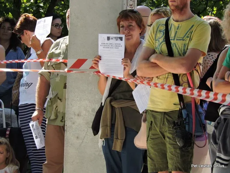 11986385 894617953955394 3145026926738458193 n