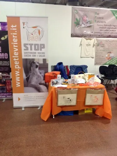 11986394 10205852940775096 597755322736781432 n