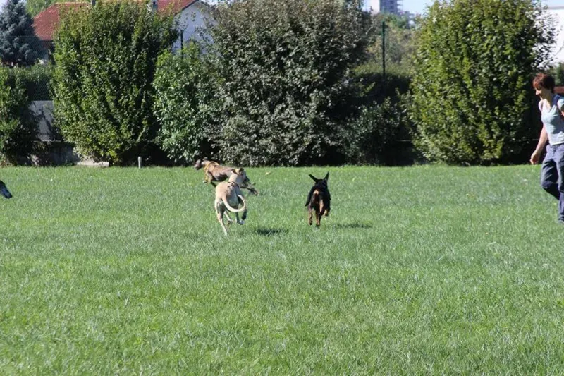 11986397 886801561403700 1821673829510470469 n