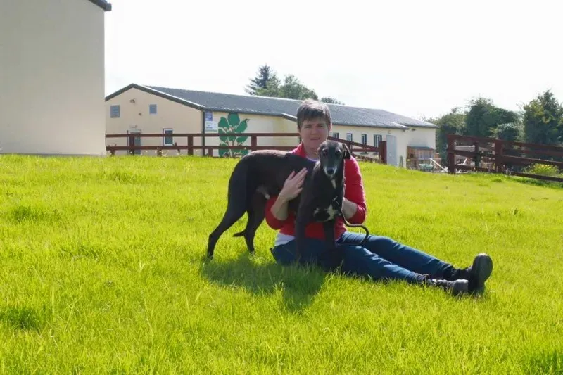 11986935 905010419590562 2294141049820324546 n