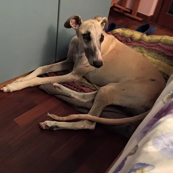 11987143 902728166485454 6487085992678597584 n