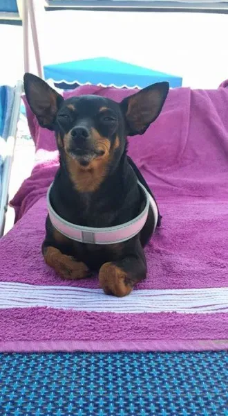 11987215 10207572972432706 3555699693292955297 n