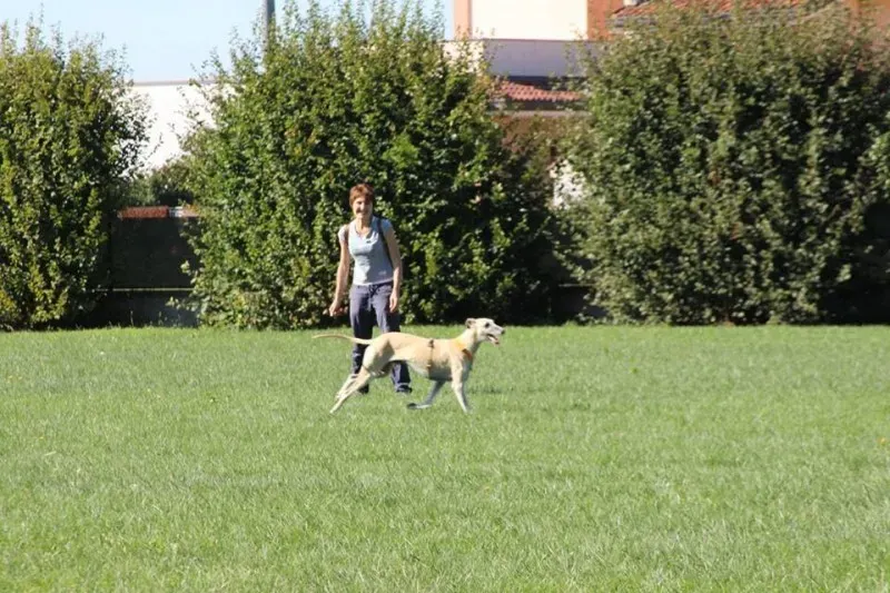 11988248 886801708070352 6528021348889619051 n