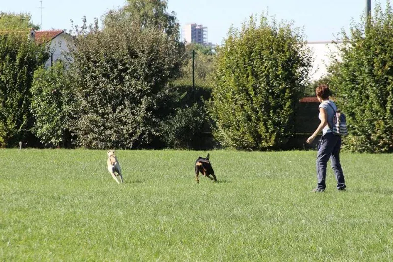 11988387 886801634737026 5925565760240463614 n