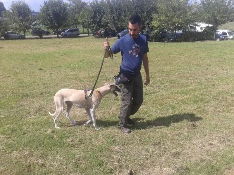 11988491 10206033341546292 648673658850314423 n