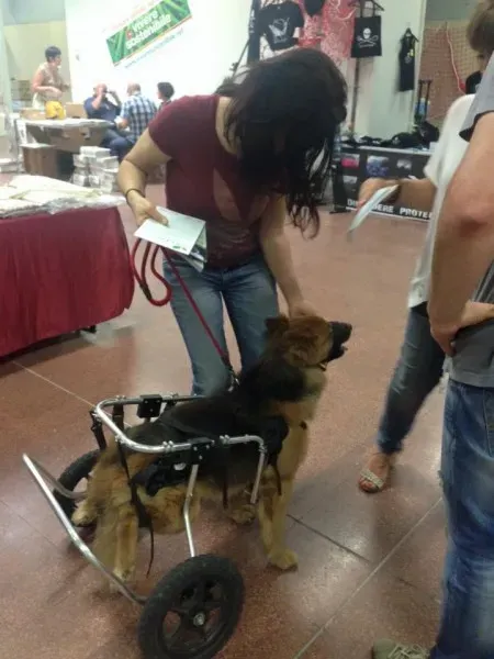 11988552 10205854177766020 8166817883133083490 n