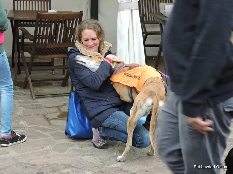 11988656 918536281563561 3329336767669991515 n