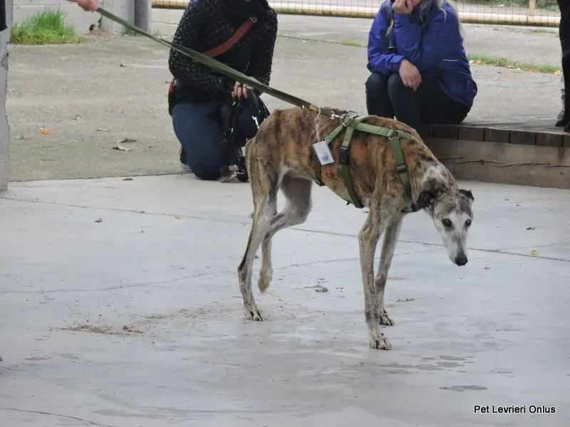 11988736 918530221564167 1034670384841742571 n