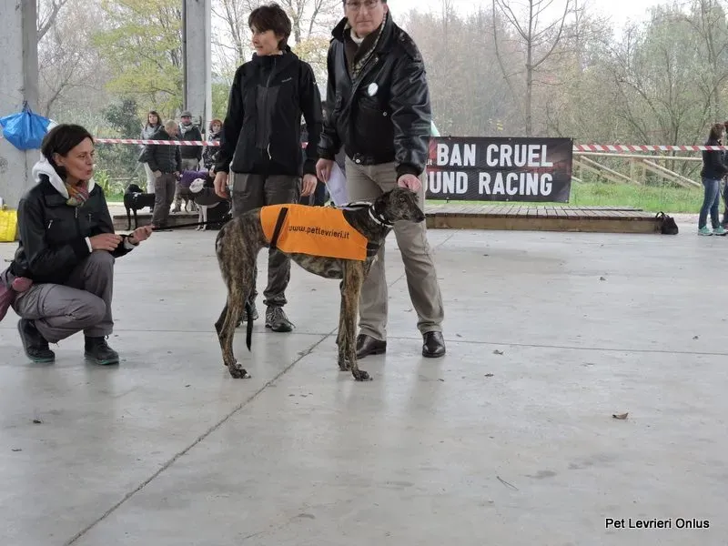 11988736 918531311564058 7526060030949756005 n