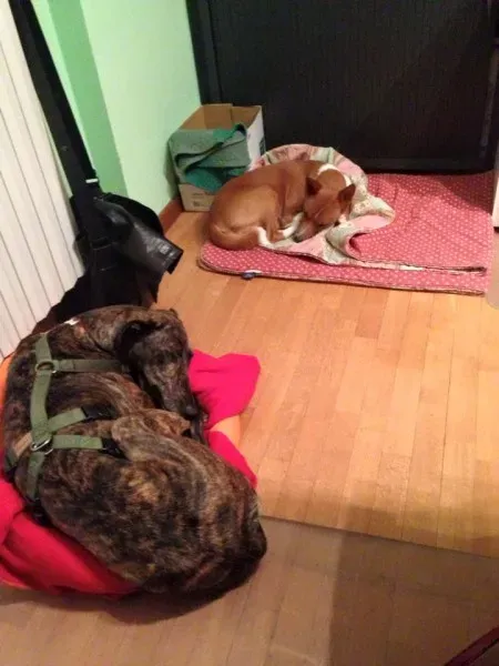 11988743 10207243638276630 9166985534220629279 n