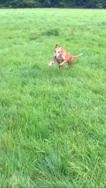 11990201 10206467686384510 1995348898 o