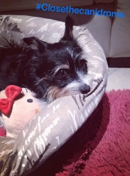 11990550 10206657765036794 1430793201561336401 n