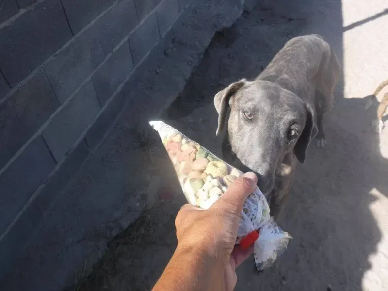 11990599 888567627893760 1932571920327112200 n