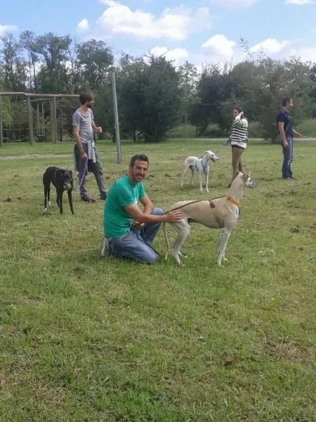 11990669 10206033343226334 8420514107254106861 n