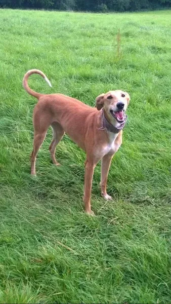 11990899 10206467687664542 1325454582 o