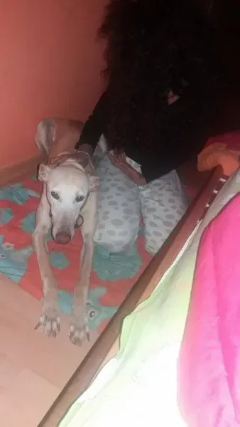 11998087 10207456893132798 1218298715 n