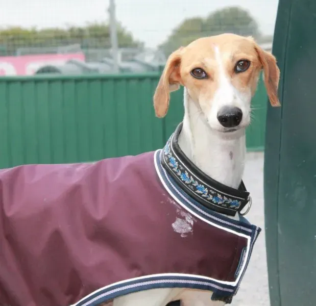 11998845 1077889225562109 6288163159202948031 n