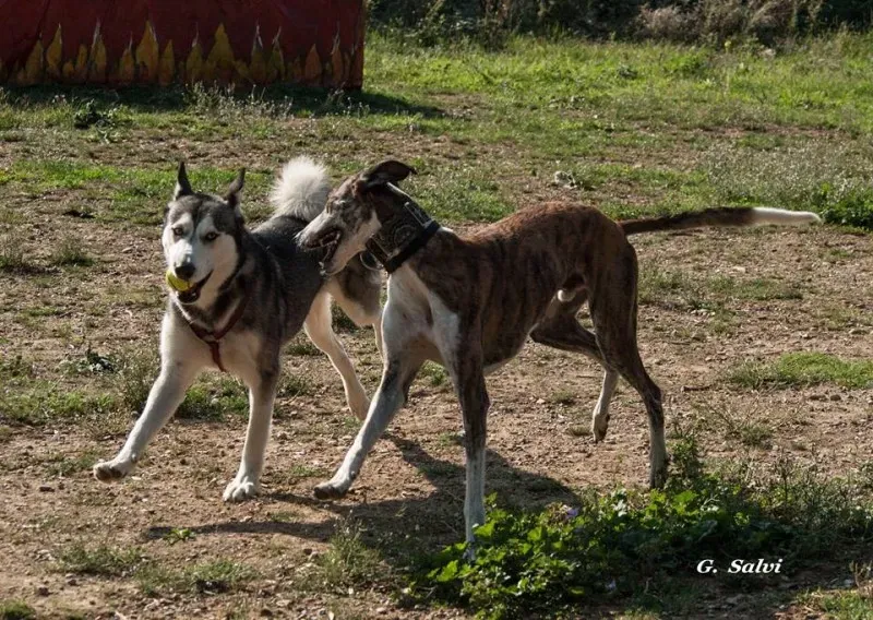 11998852 10205174418496386 8240895851687927142 n