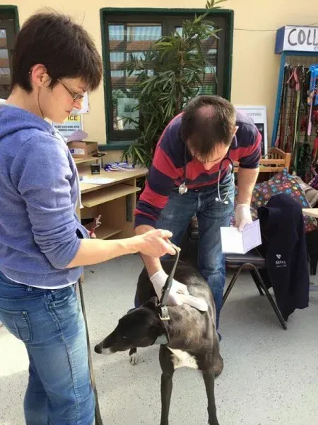 11998913 892041677546355 5721939817513207686 n