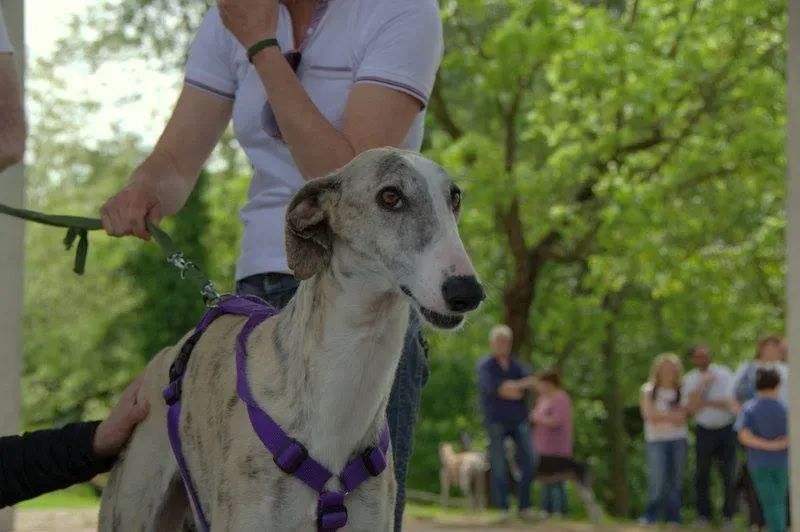 11998999 892092077541315 3444120639290427055 n