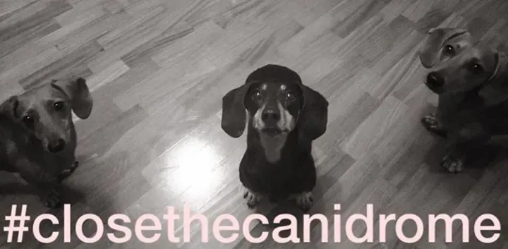 11999037 1006613559360185 7651301063885090634 n