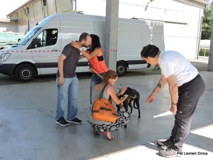 12002043 894845490599307 9171163274645706342 n