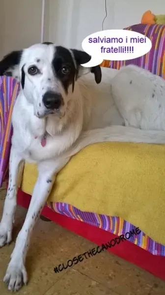 12002489 907351882653943 1545262998379715108 o