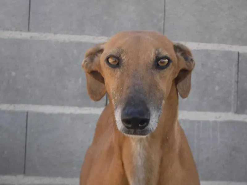 12002750 888567841227072 1110612236484355467 n