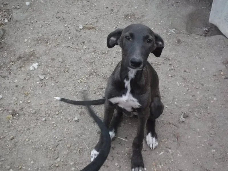 12002753 892231030860753 5287681520385076644 n