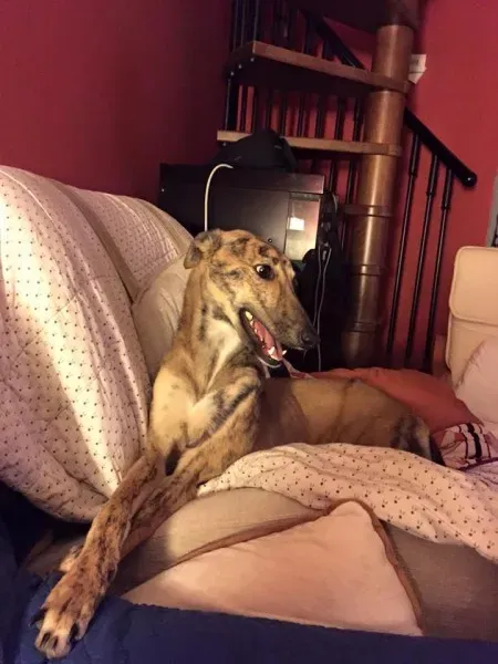 12003039 911371152287822 1367572406457602543 n