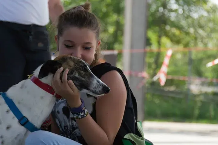 12003135 895086347241888 6637506124338815941 n