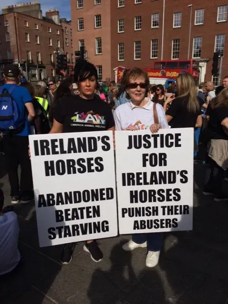 12003147 1087789181238780 6404709588186660789 n