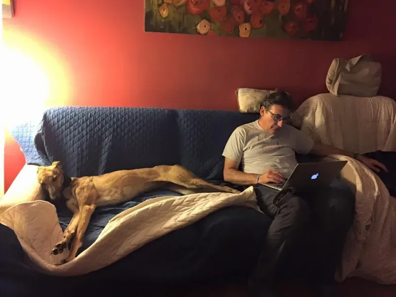 12003258 911741622250775 5091046412745339312 n