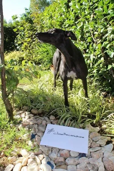 12003295 10207527087597364 4215420763422641901 n