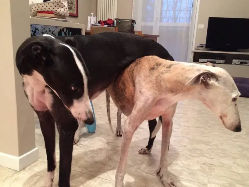 12003295 751910214935390 7128506329424849361 n