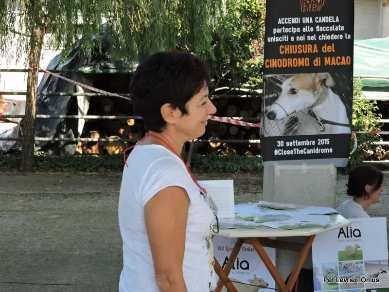 12003313 894804003936789 4663030630603263390 n