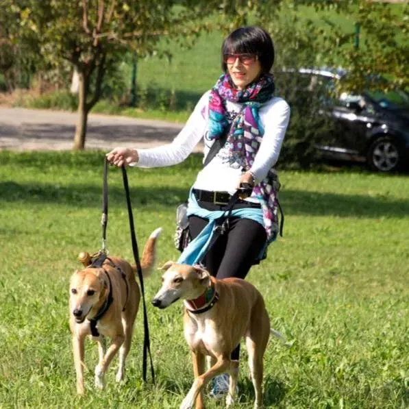 12003403 512341172270266 6617999374276284898 n