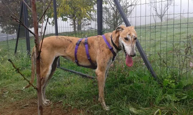 12003859 918412981575891 7841686612457840105 n