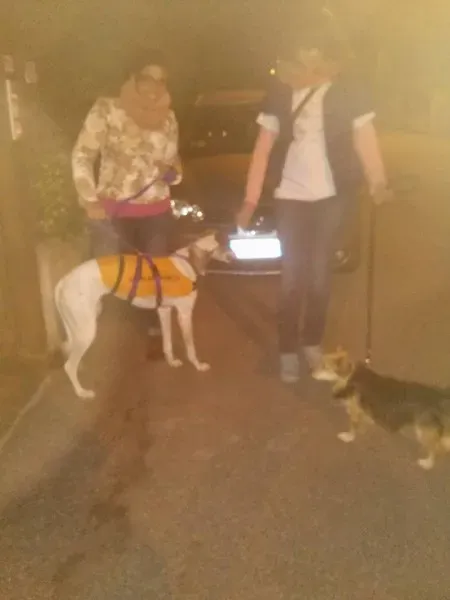 12004020 1503625366623685 1304485517832299767 n