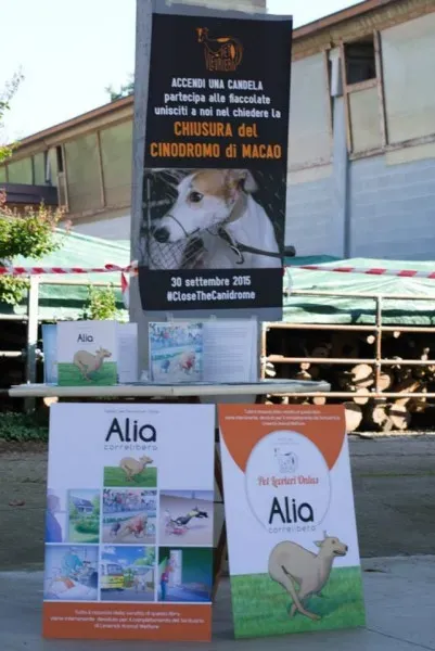 12004069 895085693908620 3191730780089709331 n