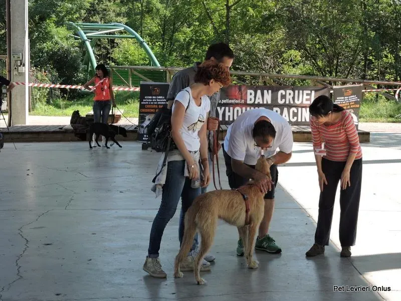 12004081 894800410603815 7137163765735210437 n