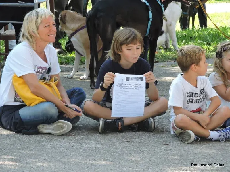 12004086 894617787288744 1794427301278152209 n